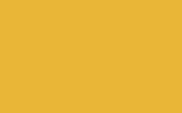 Желтый Лютик